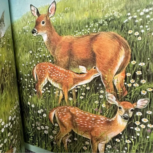 Forest of Dreams FIRST edition with DJ 1988 by Rosemary Wells and Susan Jeffers - Picture 8 of 14